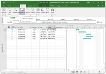 Microsoft Project Professional screenshot 9