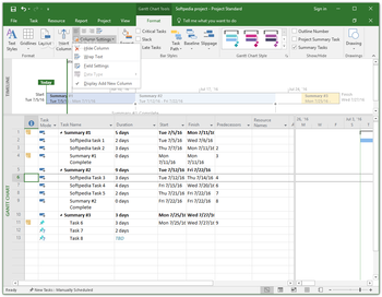 Microsoft Project Standard screenshot 15