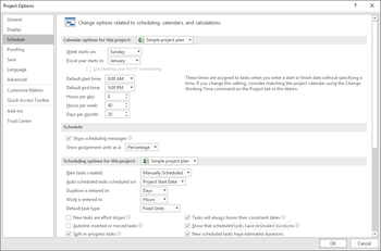 Microsoft Project Standard screenshot 19