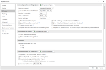 Microsoft Project Standard screenshot 20