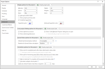 Microsoft Project Standard screenshot 25