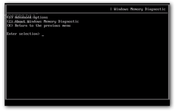 Microsoft Windows Memory Diagnostic screenshot 3