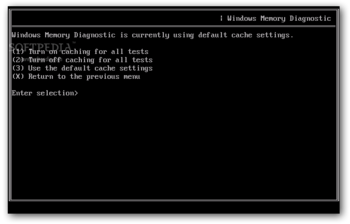 Microsoft Windows Memory Diagnostic screenshot 5
