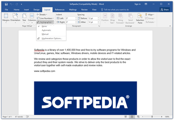 Microsoft Word screenshot 4