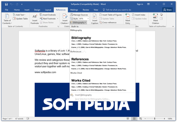 Microsoft Word screenshot 5