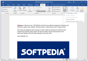 Microsoft Word screenshot 7