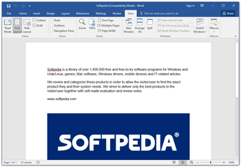 Microsoft Word screenshot 8