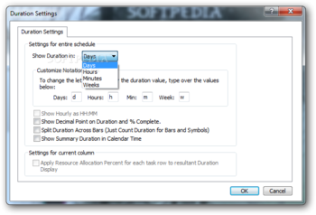 Milestones Professional screenshot 16