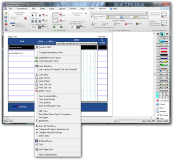 Milestones Professional screenshot 2
