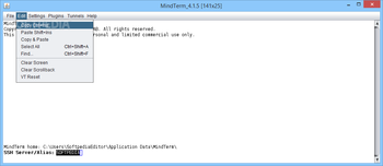 Mindterm screenshot 3