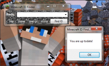Minecraft ID Finder screenshot 6