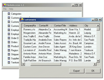 MinhiAccess screenshot