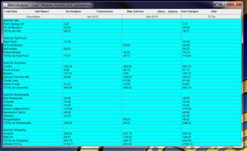 Mint Analyzer screenshot