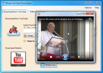 Mioara YouTube Downloader screenshot 4