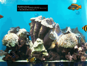 Miracle Breast Gain Aquarium screenshot 2
