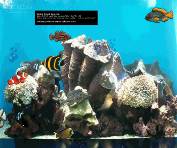 Miracle Breast Gain Aquarium screenshot 3