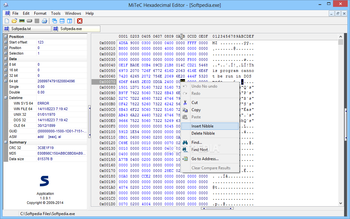 MiTeC Hexadecimal Editor screenshot