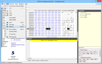 MiTeC Hexadecimal Editor screenshot 3