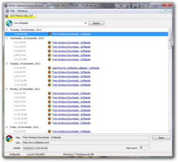 MiTeC Internet History Browser screenshot 2