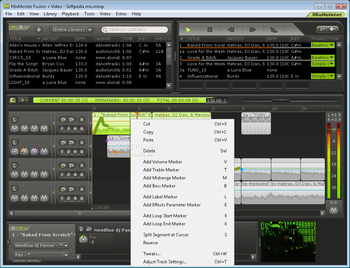 MixMeister Fusion + Video screenshot 2