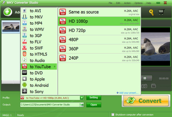 MKV Converter Studio screenshot 2