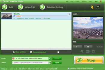 MKV Converter Studio screenshot 3