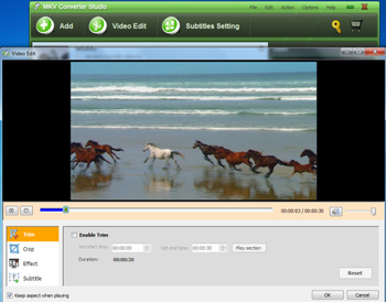 MKV Converter Studio screenshot 4