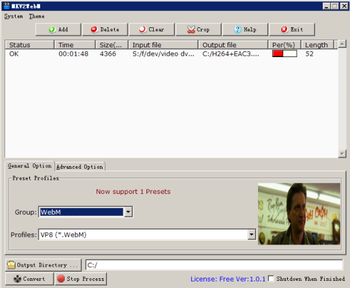 MKV2WebM screenshot