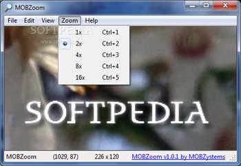 MOBZoom screenshot 3