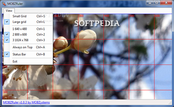 MOBZRuler screenshot