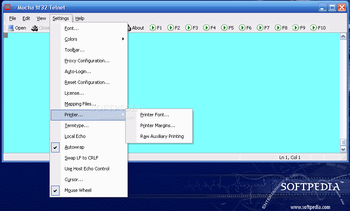 Mocha W32 Telnet screenshot 3
