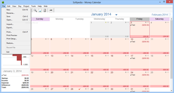 Money Calendar screenshot 2