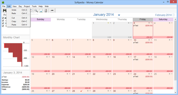 Money Calendar screenshot 3
