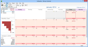 Money Calendar screenshot 4
