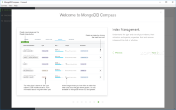 MongoDB Compass screenshot 11