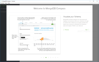 MongoDB Compass screenshot 7