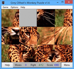 Monkey Puzzle screenshot 2