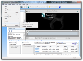 Morae screenshot 4