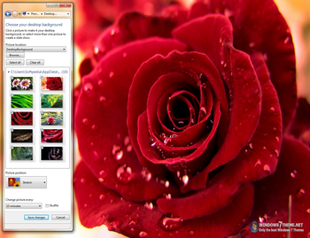 Morning Dew Windows 7 Theme screenshot
