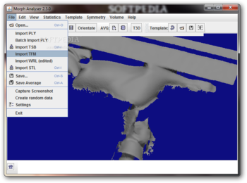 Morph Analyser screenshot 2