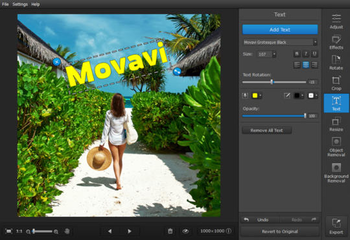 Movavi Photo Studio screenshot 2