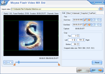 Moyea Flash Video MX Std screenshot