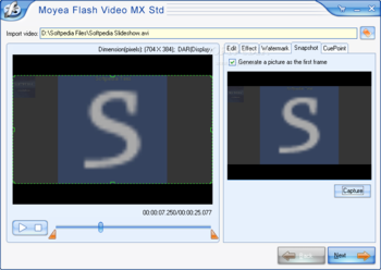 Moyea Flash Video MX Std screenshot 4