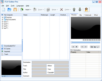 Moyea FLV Editor Pro screenshot