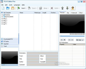 Moyea FLV Editor Pro screenshot 2