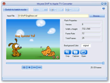 Moyea SWF to Apple TV Converter screenshot 2