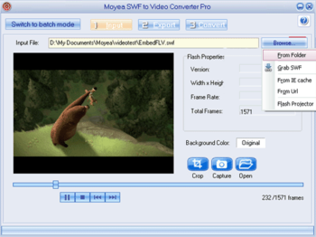 Moyea SWF to Video Converter Pro screenshot