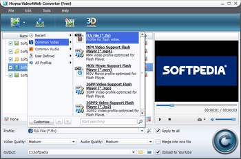 Moyea Video4Web Converter screenshot 2