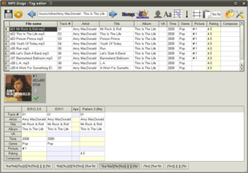 MP3 Diags screenshot 2