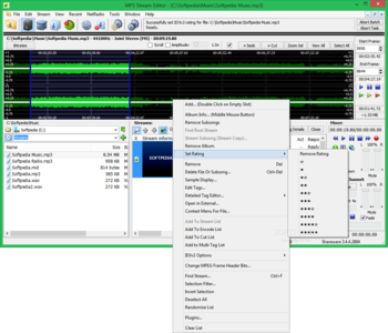 MP3 Stream Editor screenshot 2